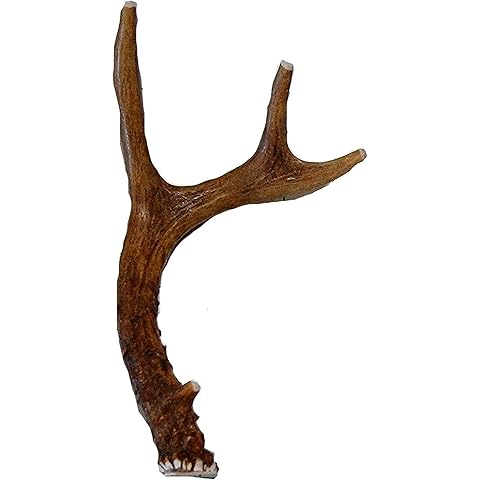 Grade A Premium Quality Elk Antler Split XXL (Pack of 1)