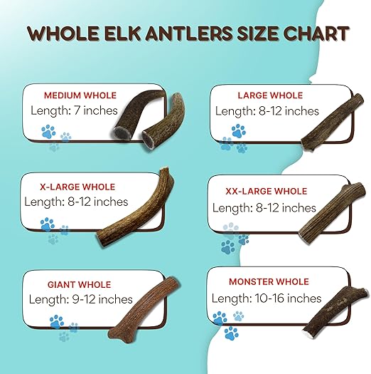 Grade A Premium Quality Elk Antler Split Large (Pack of 2)