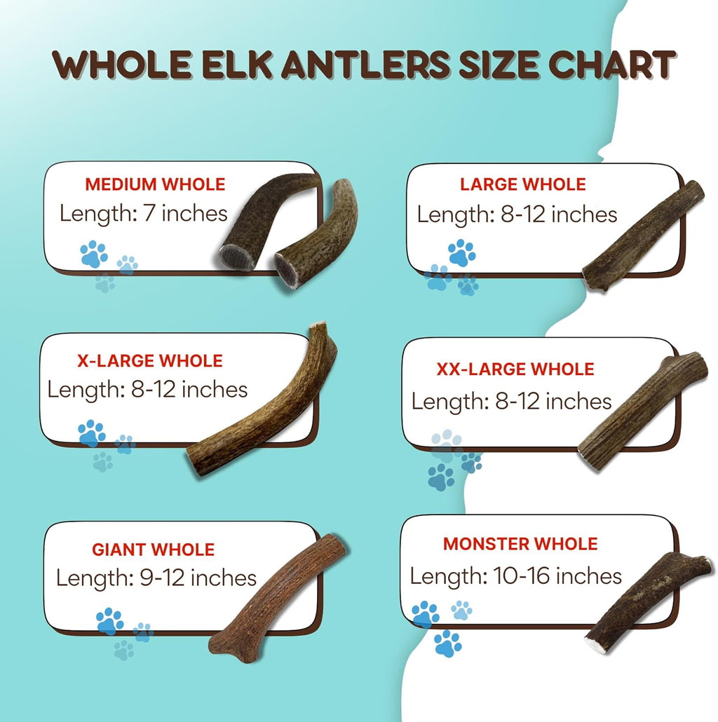 Grade A Premium Quality Elk Antler Dog Chews, (Medium Split 2 Pack)