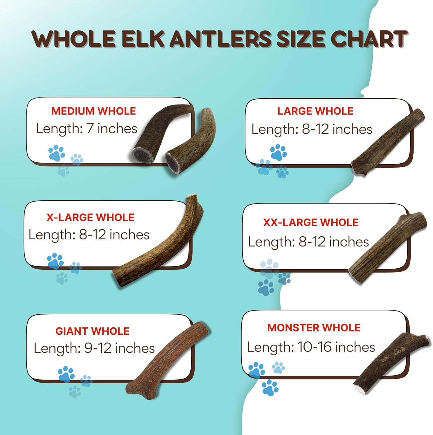 Grade A Premium Quality Elk Antler Dog Chews, (Giant Split pack of 1)
