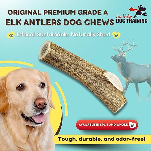 Grade A Premium Quality Elk Antler Split XXL (Pack of 1)