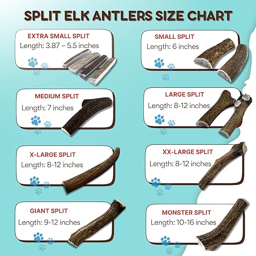 Grade A Premium Quality Elk Antler Split XXL (Pack of 1)