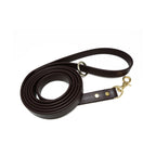 Biothane Dog Training Leash with Brass Hardware