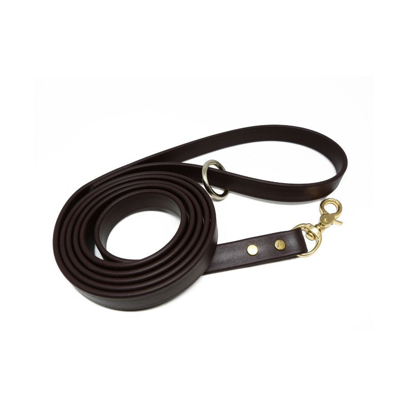 Biothane Dog Training Leash with Brass Hardware