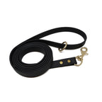 Biothane Dog Training Leash with Brass Hardware