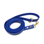 Biothane Dog Training Leash with Brass Hardware