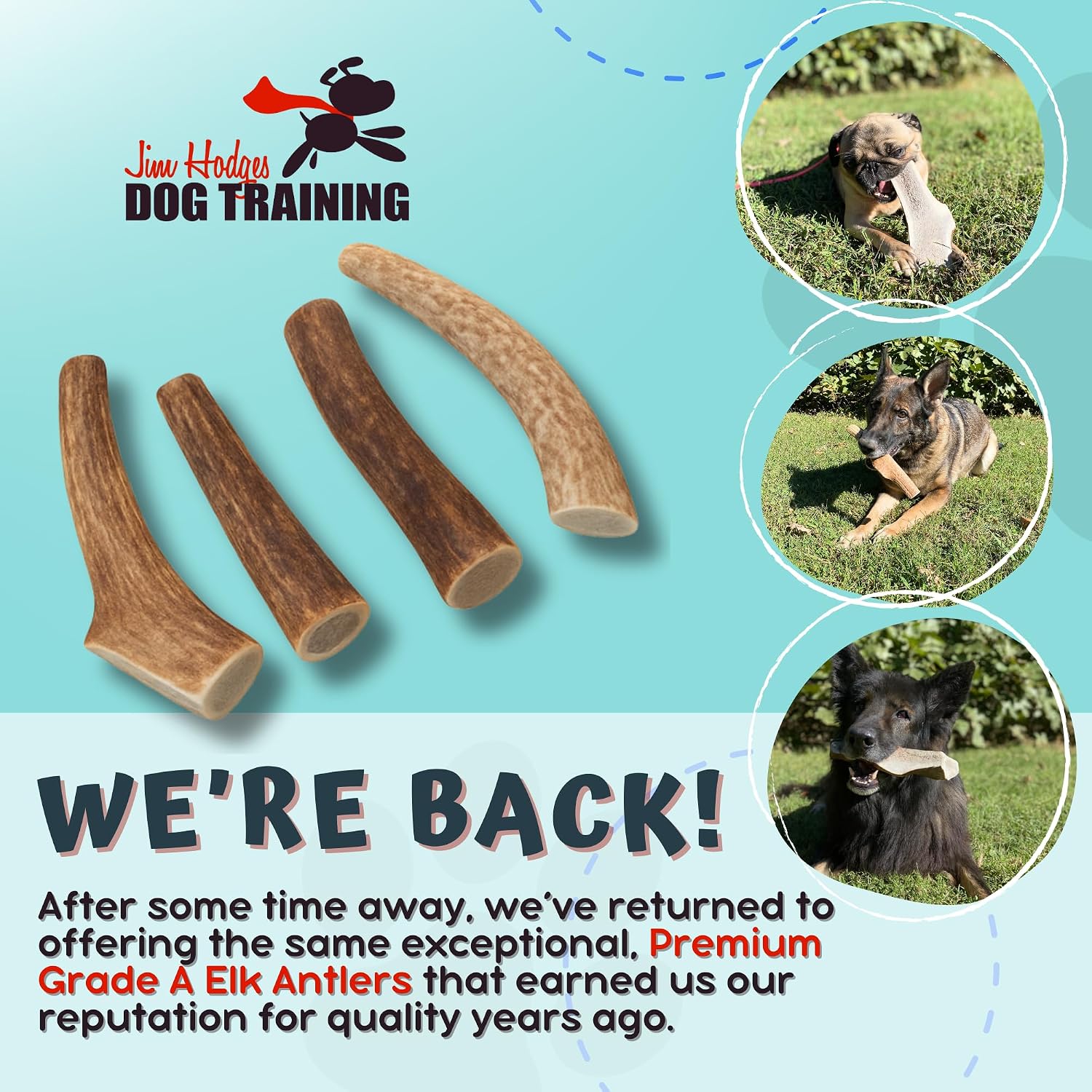Grade A Premium Quality Elk Antler Dog Chews, (Giant Split pack of 1)