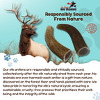 Grade A Premium Quality Elk Antler Dog Chews, (Medium Split 2 Pack)