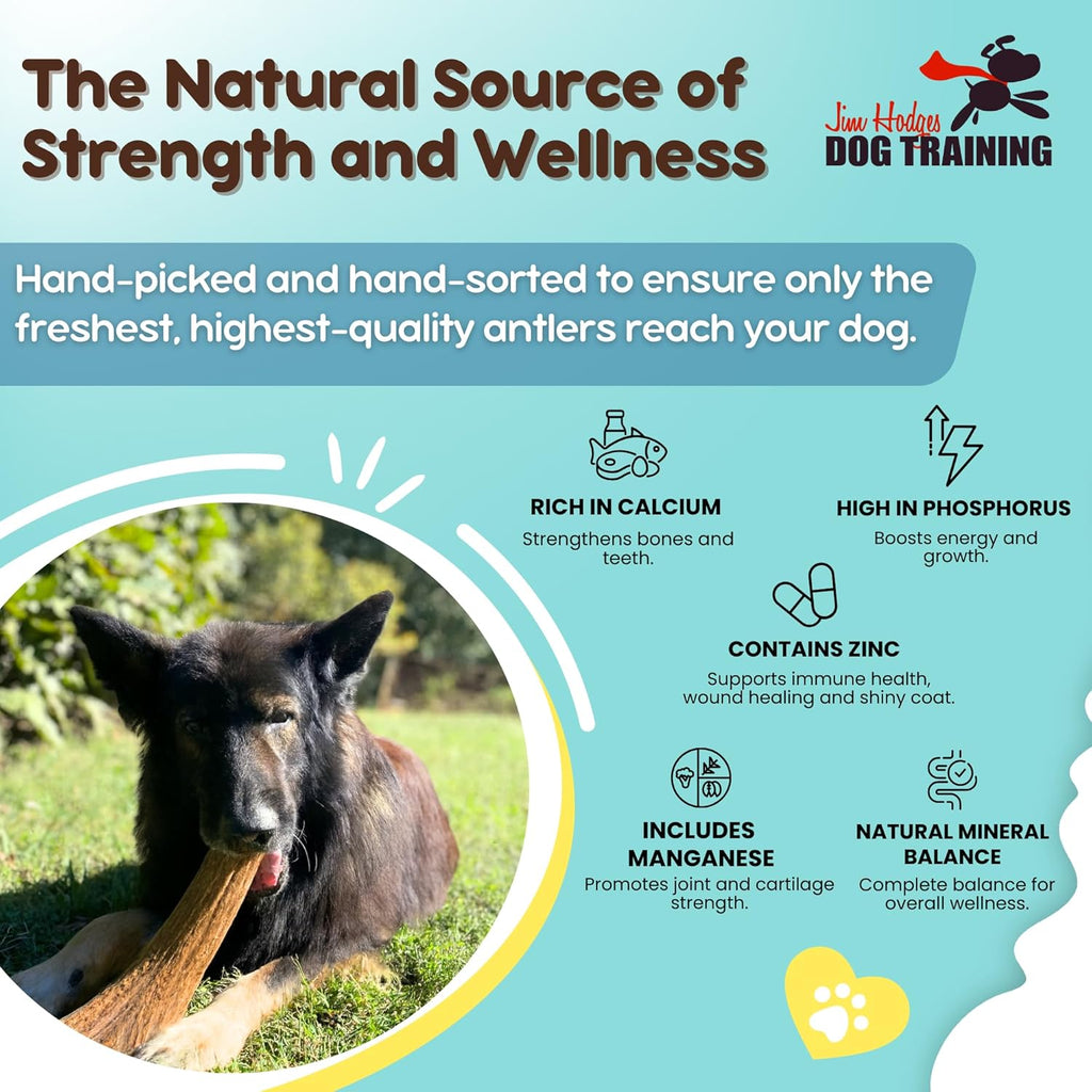 Grade A Premium Quality Elk Antler Dog Chews, (Medium Split 2 Pack)