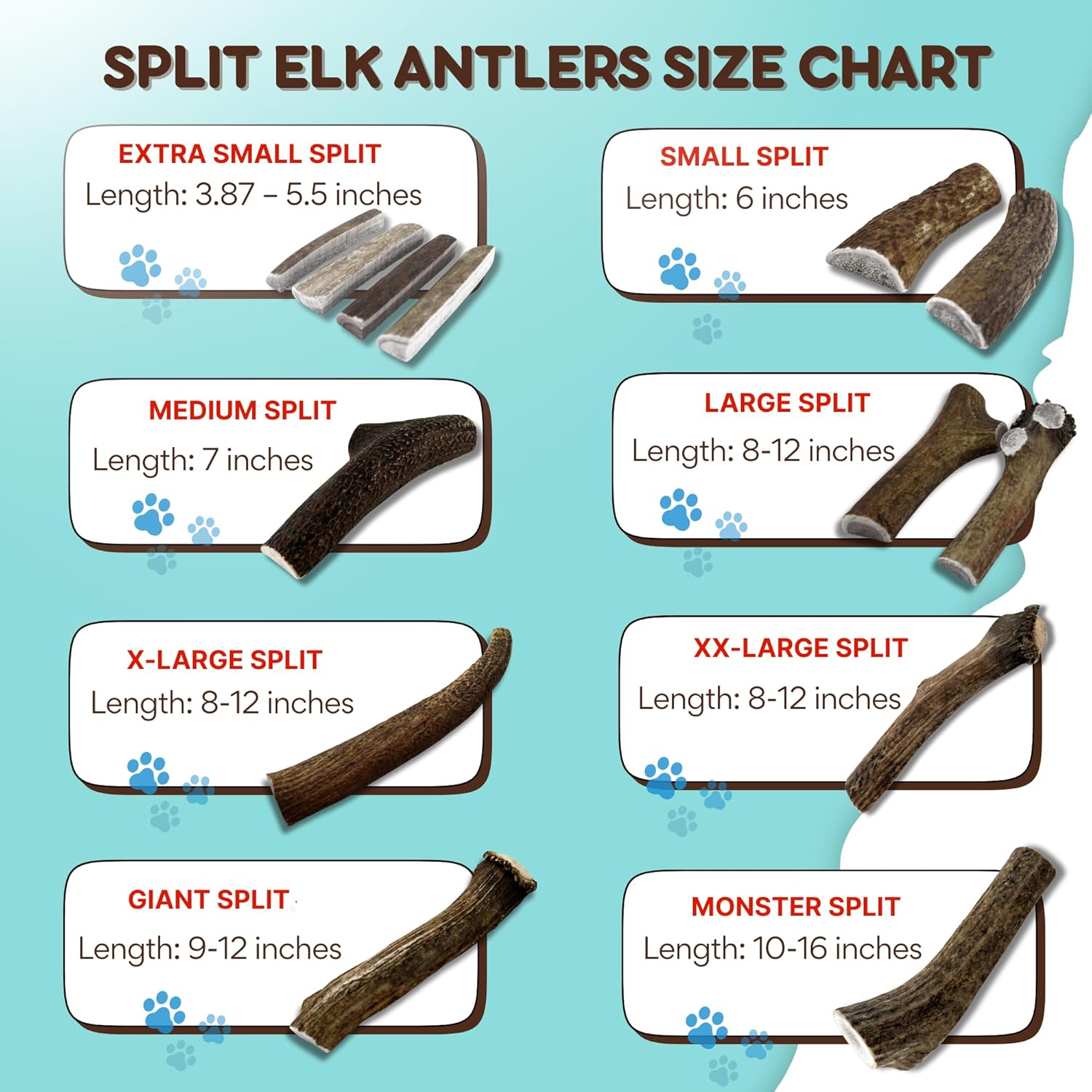 Grade A Premium Quality Elk Antler Dog Chews, (Giant Split pack of 1)