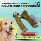 Grade A Premium Quality Elk Antler Dog Chews, (Small Split 2 Pack)