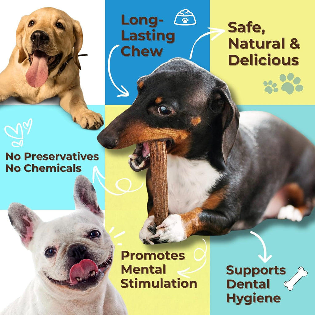 Grade A Premium Quality Elk Antler Dog Chews, (Small Split 2 Pack)