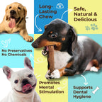 Grade A Premium Quality Elk Antler Dog Chews, (Small Split 2 Pack)