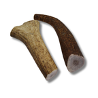 Grade A Premium Quality Elk Antler Dog Chews, (X-Large Whole 2 Pack)