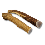 Medium whole elk antler dog chews 2 pack, Grade A quality, naturally shed and sourced in the USA, natural dog chew with no preservatives.