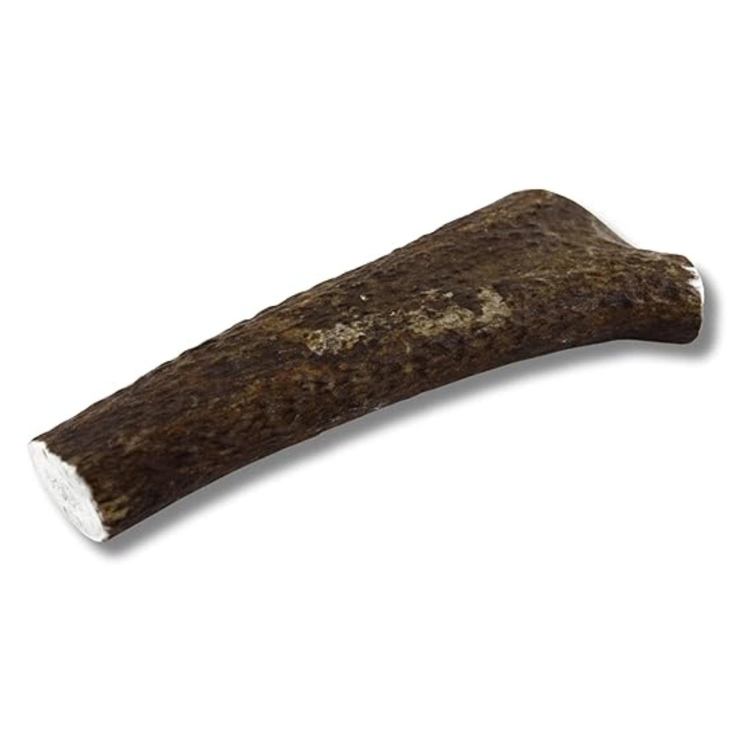 Monster whole elk antler dog chew, Grade A quality, naturally shed and sourced in the USA, long-lasting natural chew with no preservatives.