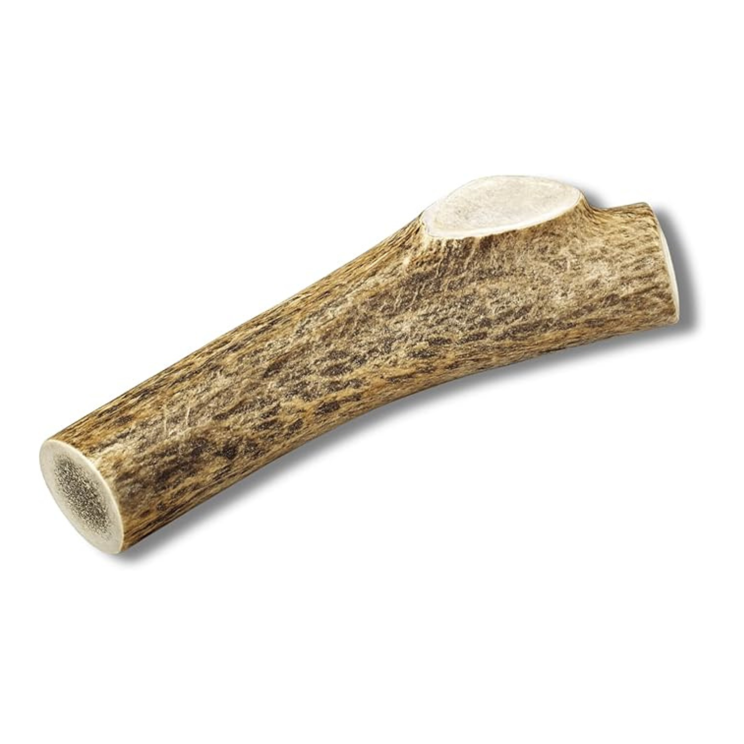 X-large whole elk antler dog chew, Grade A quality, naturally shed and sourced in the USA, durable natural dog chew with no preservatives.