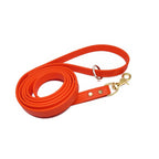 Biothane Dog Training Leash with Brass Hardware