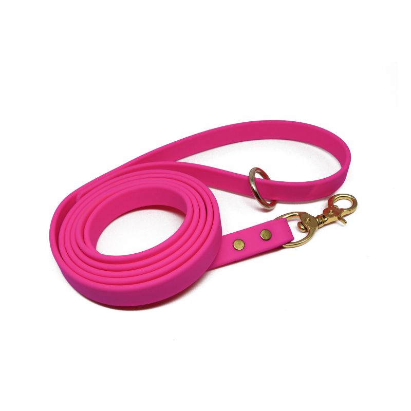 Biothane Dog Training Leash with Brass Hardware