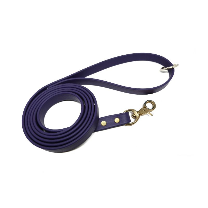 Biothane Dog Training Leash with Brass Hardware
