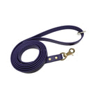 Biothane Dog Training Leash with Brass Hardware