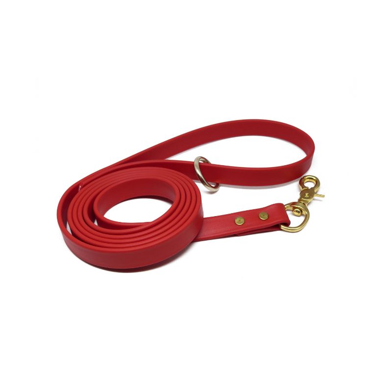Biothane Dog Training Leash with Brass Hardware