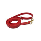 Biothane Dog Training Leash with Brass Hardware