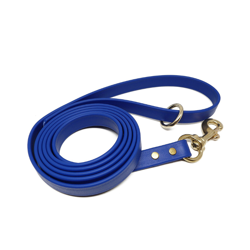 Blue Biothane dog leash with brass hardware and loop handle, waterproof and durable for training, walking, and outdoor use.