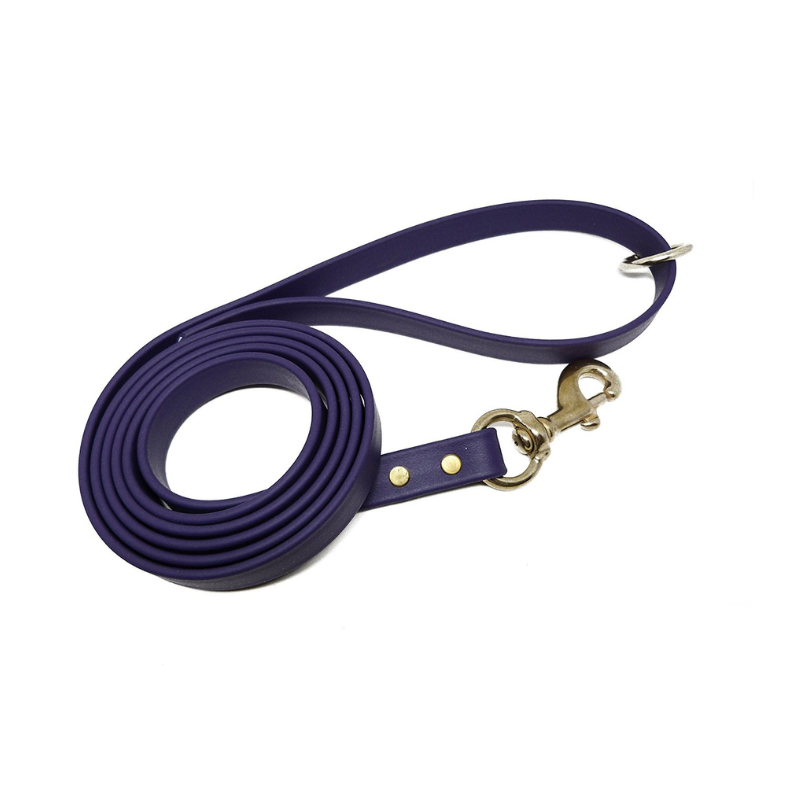 Purple Biothane dog leash with brass clasp and D-ring, waterproof and odorproof for training and daily walks.