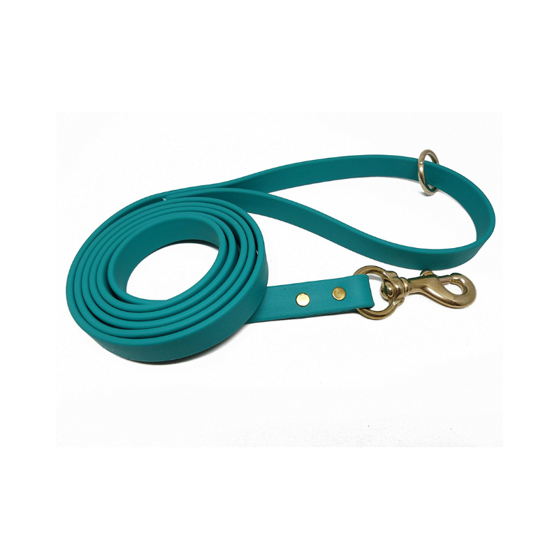 Teal Biothane dog leash with brass clasp and D-ring handle, waterproof, odorproof, and flexible for walking, hiking, or training sessions.