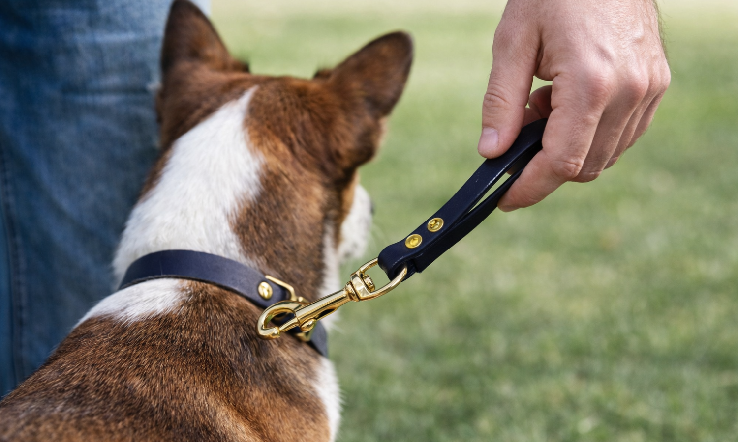 Dog owner holding a black biothane tab leash with brass snap hook attached to a dog collar outdoors for training and walking