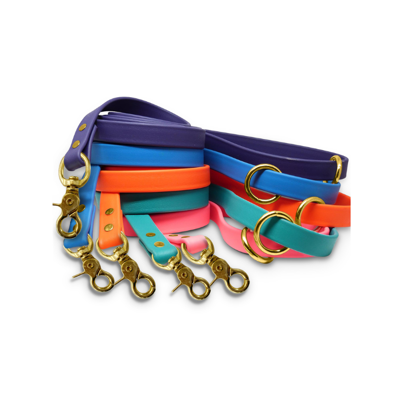 Biothane Dog Training Leash with Brass Hardware