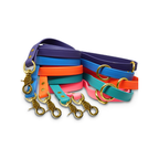 Biothane Dog Training Leash with Brass Hardware