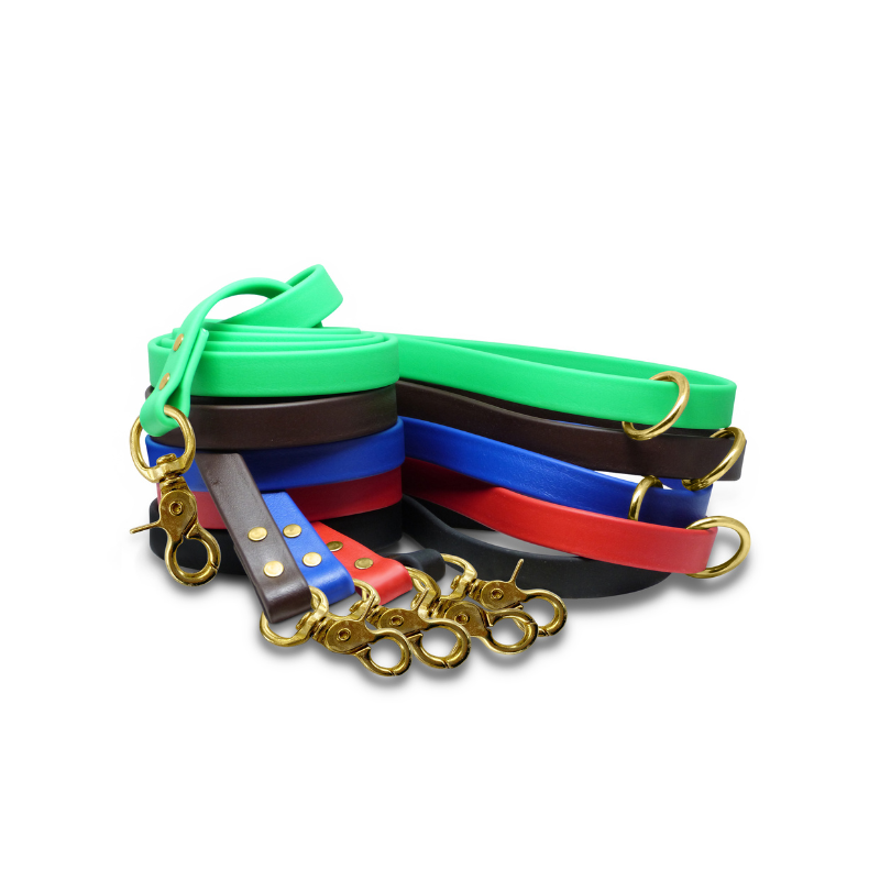 Biothane Dog Training Leash with Brass Hardware
