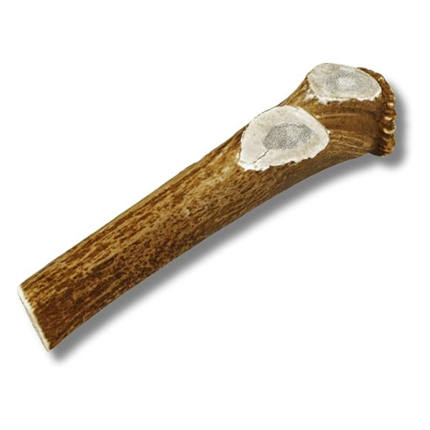Grade A Premium Quality Elk Antler Split XL (Pack of 1)