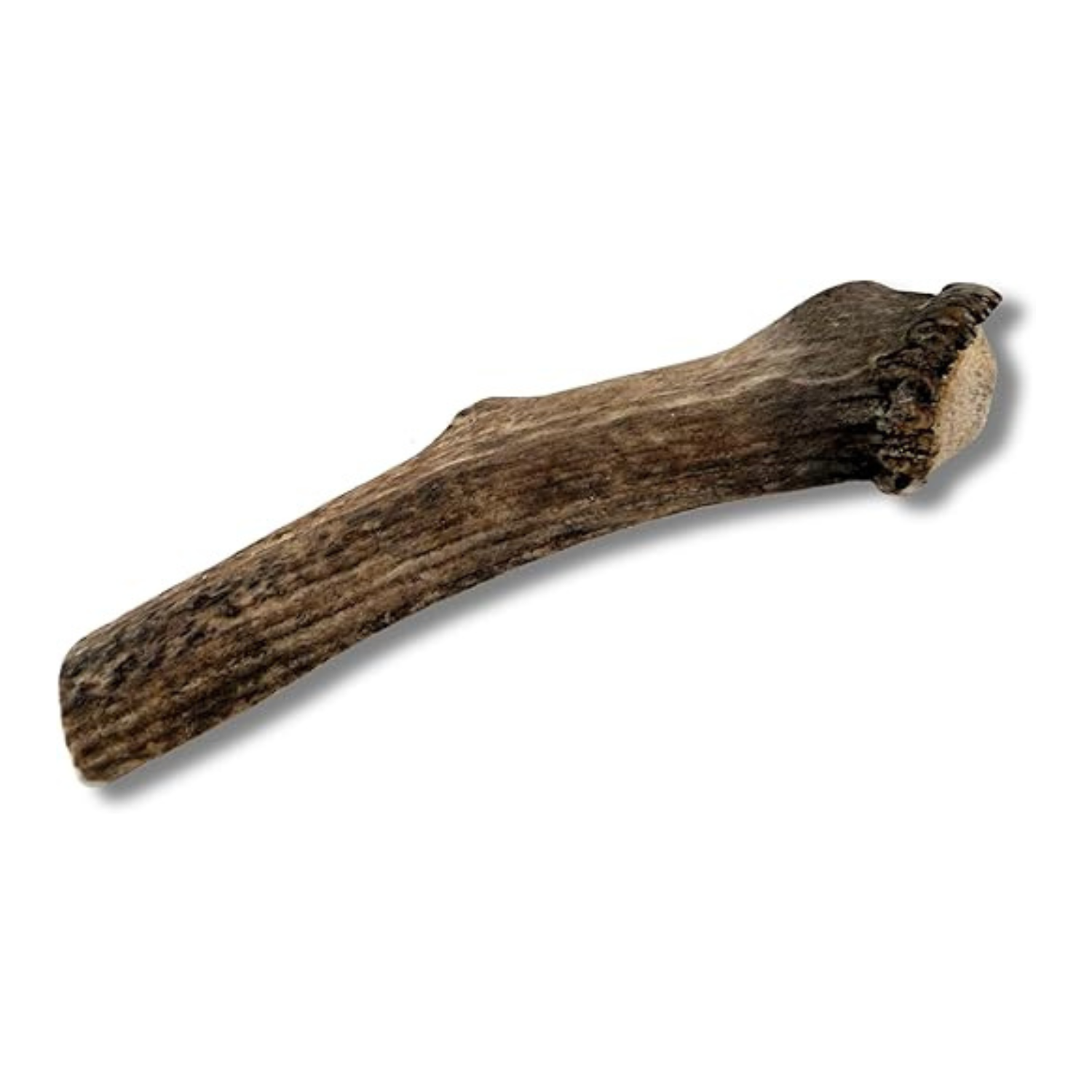 Grade A premium quality XXL split elk antler dog chew, pack of 1, natural long-lasting chew from Jim Hodges Dog Training Inc.
