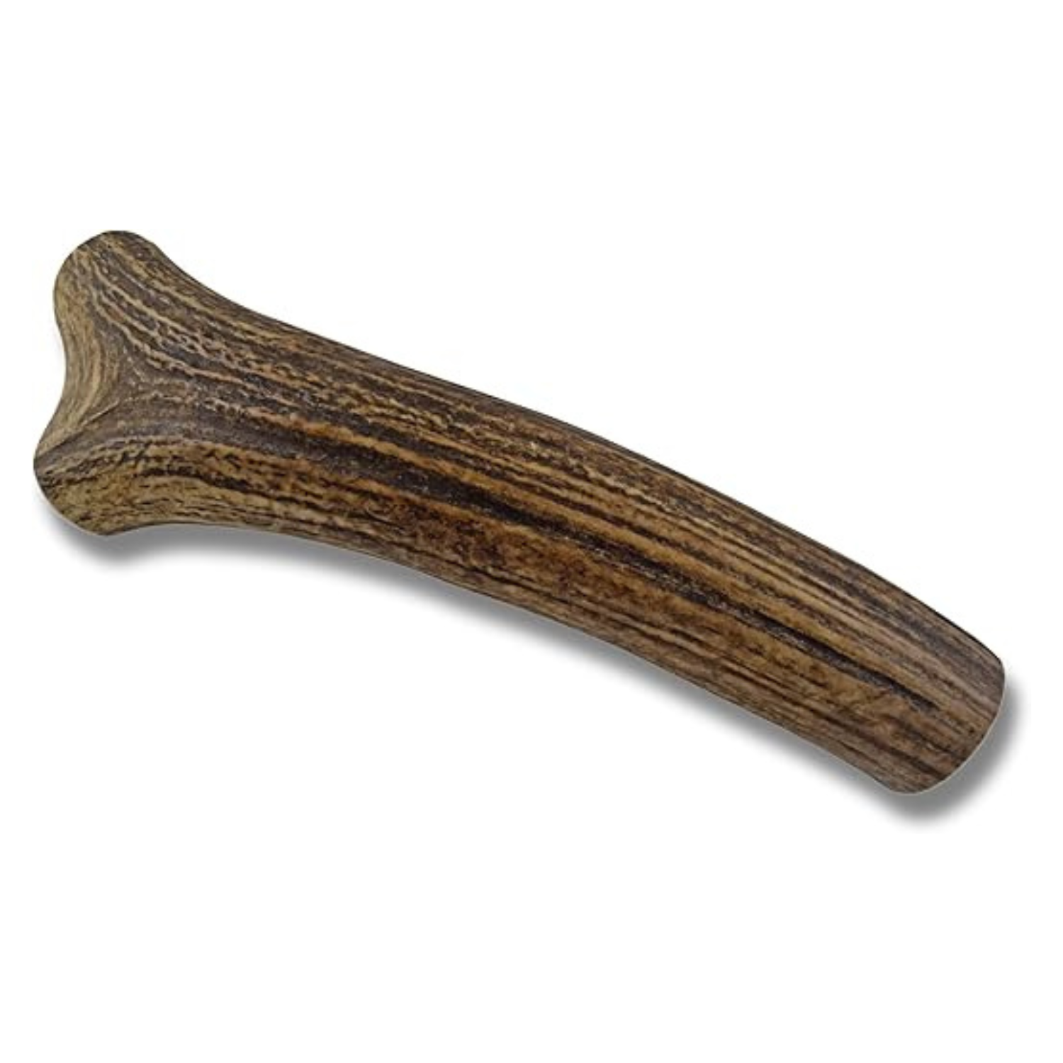 Grade A Premium Quality Elk Antler Whole XXL (Pack of 1)