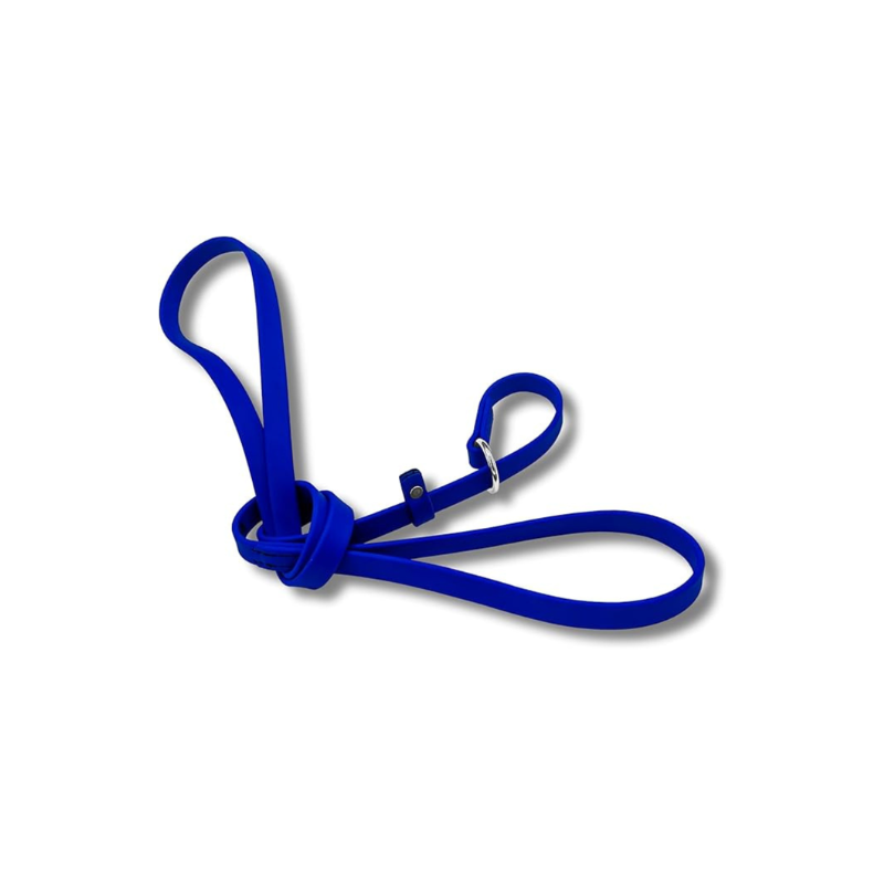 Jim Hodges Dog Training Inc royal blue Biothane slip leash for dogs, waterproof odor-free training lead with stainless steel hardware, easy-clean USA made 5ft leash