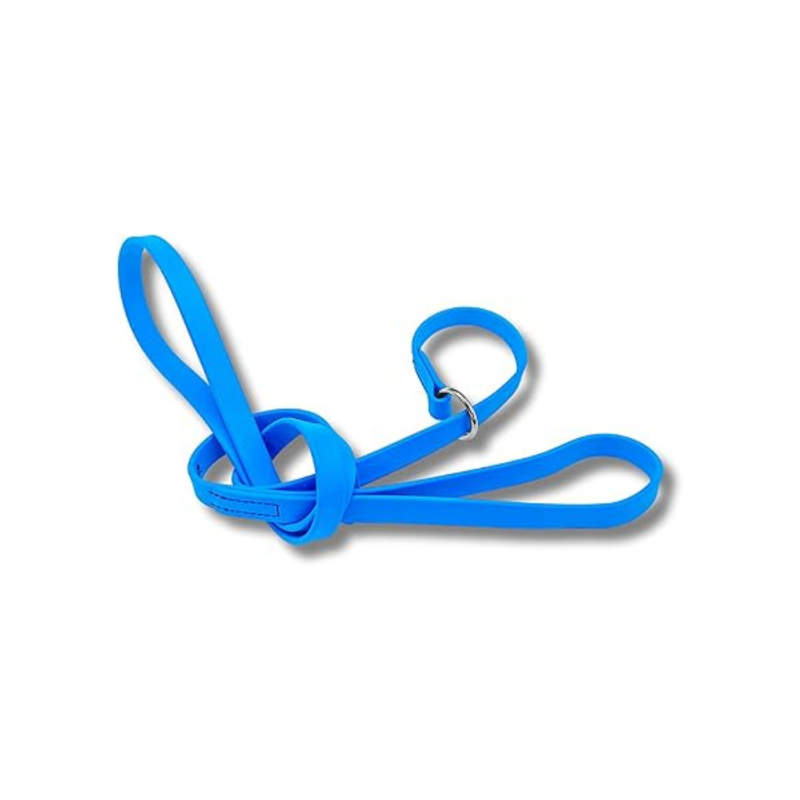 Jim Hodges Dog Training Inc blue Biothane slip leash for dogs, waterproof odor-free training lead with stainless steel hardware, easy-clean USA made 5ft leash