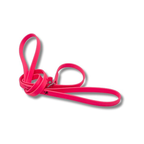 Jim Hodges Dog Training Inc hot pink Biothane slip leash for dogs, waterproof odor-free training lead with stainless steel hardware, easy-clean USA made 5ft leash