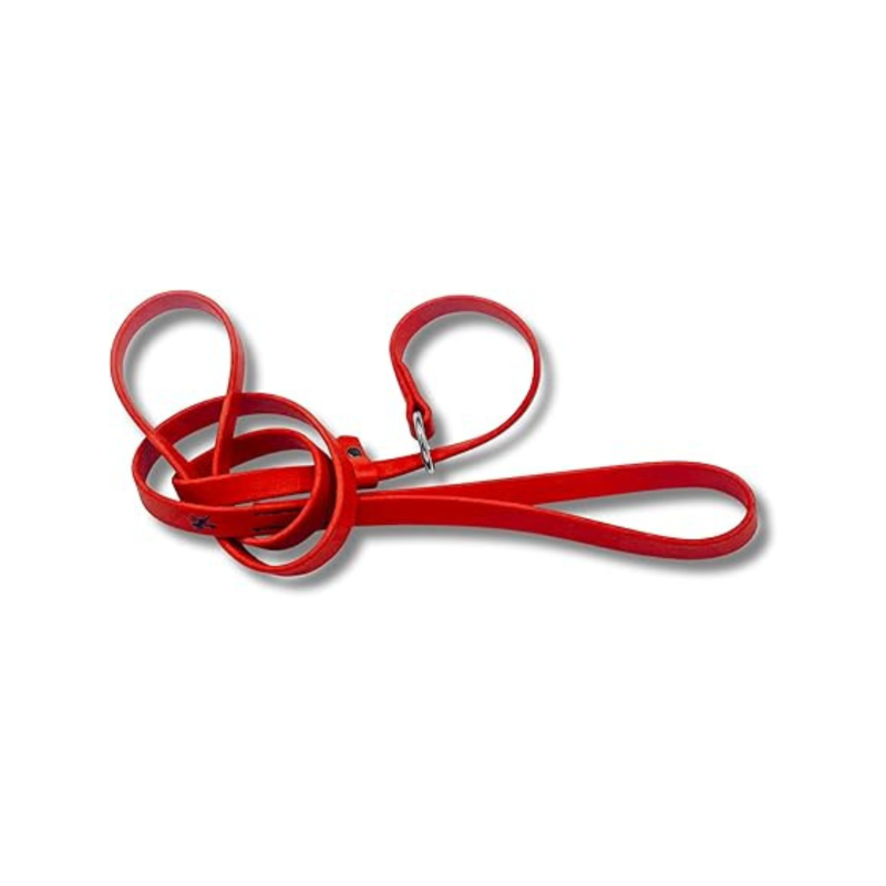 Jim Hodges Dog Training Inc red Biothane slip leash for dogs, waterproof odor-free training lead with stainless steel hardware, easy-clean USA made 5ft leash