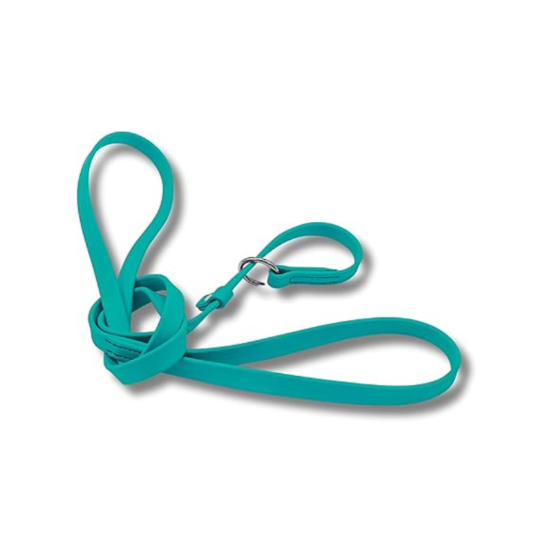Jim Hodges Dog Training Inc teal Biothane slip leash for dogs, waterproof odor-free training lead with stainless steel hardware, easy-clean USA made 5ft leash