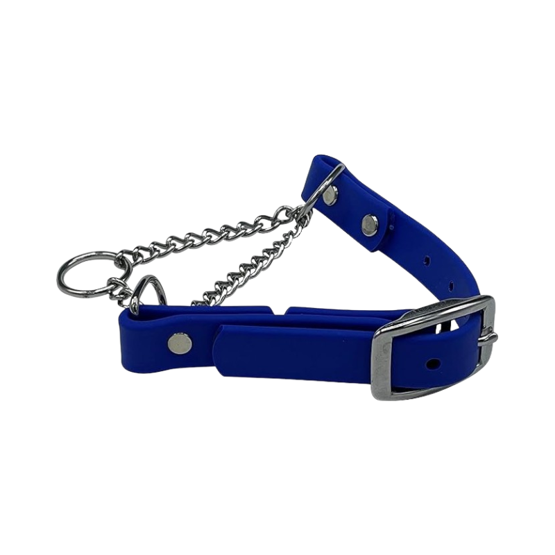 Blue Martingale Collar for Dogs – adjustable, durable collar with stainless steel chain and buckle, ideal for training and gentle control.