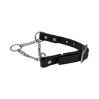 Brown Martingale Collar for Dogs – adjustable, durable collar with stainless steel chain and buckle, designed for effective and gentle dog training.