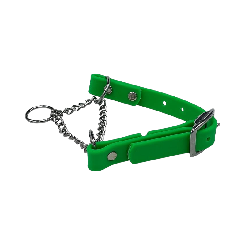 Green Martingale Collar for Dogs – adjustable, durable collar with stainless steel chain and buckle, ideal for effective and gentle dog training.