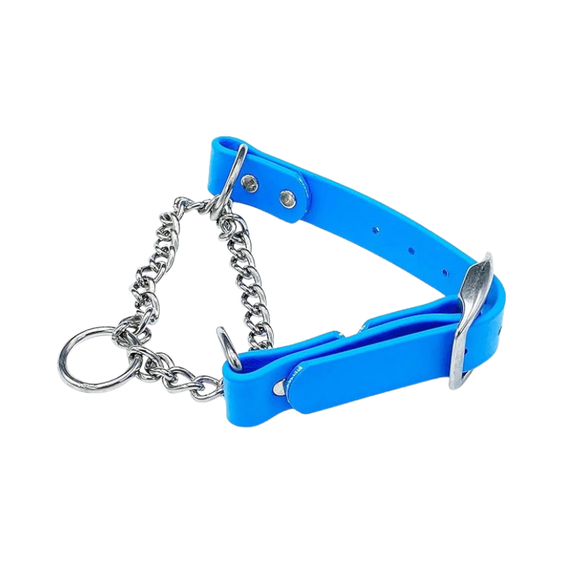 Light blue Biothane martingale collar for dogs with adjustable stainless steel buckle and chain, fits medium and large breeds