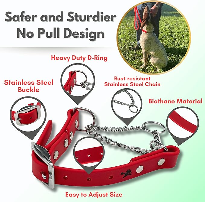 Red Martingale Collar for Dogs with stainless steel buckle and rust-resistant chain — no-pull Biothane training collar with adjustable size and heavy-duty D-ring for strong, safe dog control by Jim Hodges Dog Training.