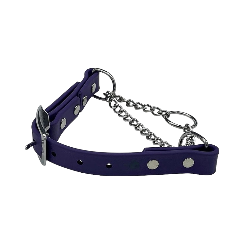 Purple Martingale Collar for Dogs – adjustable, durable collar with stainless steel chain and buckle, ideal for dog training and gentle control.