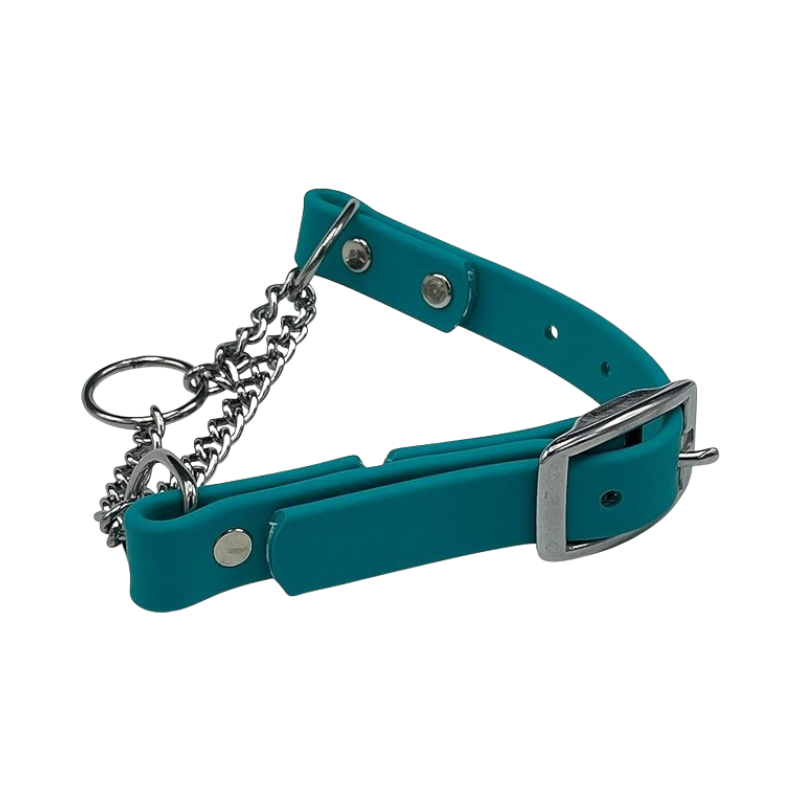 Teal Martingale Collar for Dogs – adjustable, durable collar with stainless steel chain and buckle, ideal for dog training and gentle control.