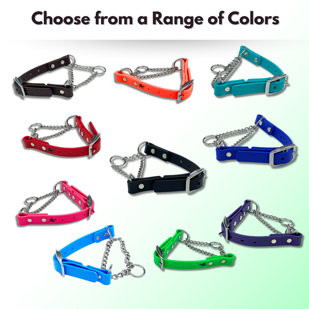 Martingale Collar for Dogs with Stainless Steel Hardware